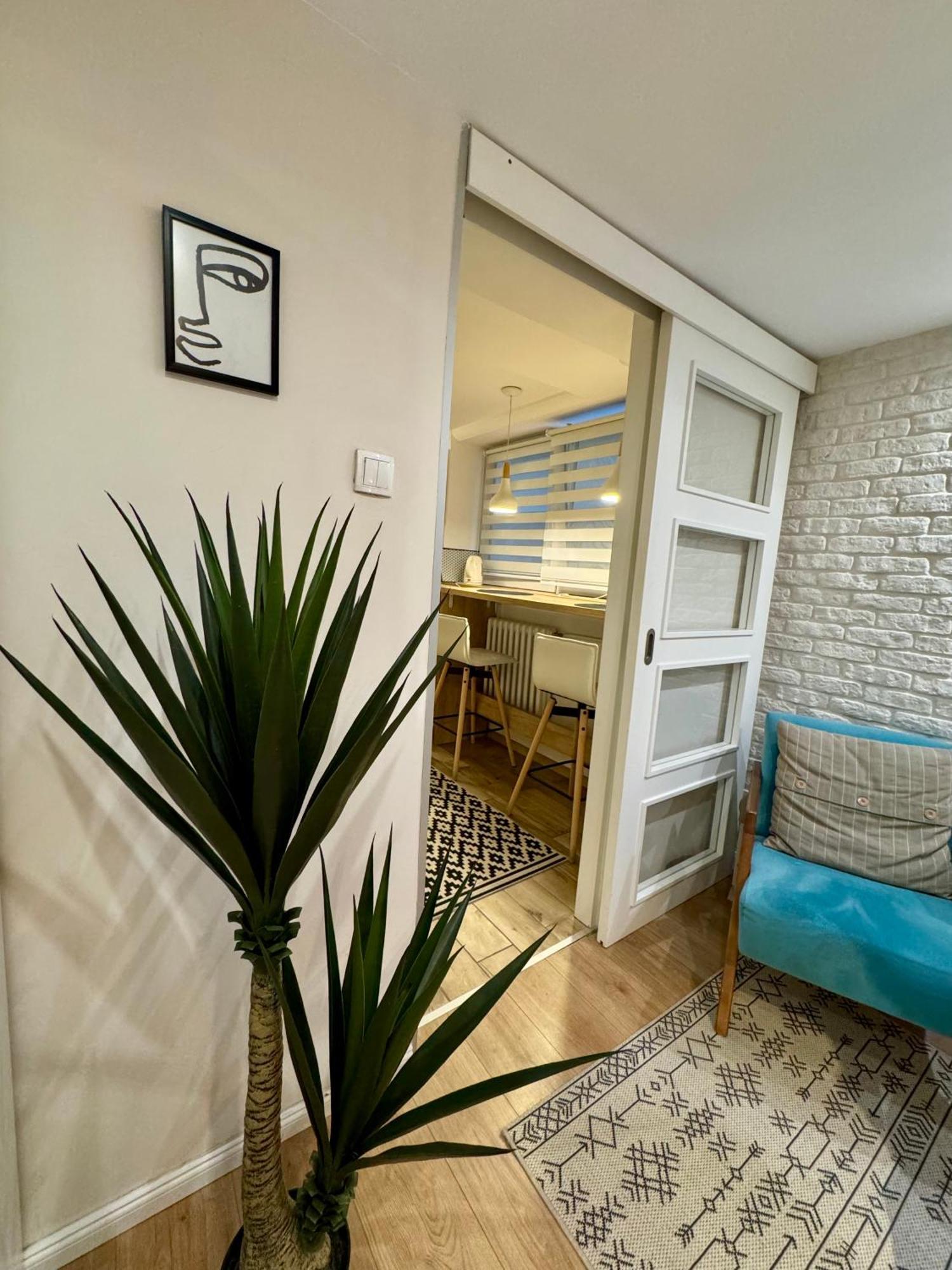 Appartamento Cozy Haven Belgrado Esterno foto